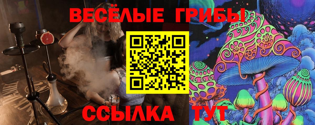 Галлюциногенные грибы Magic Shrooms Новокубанск