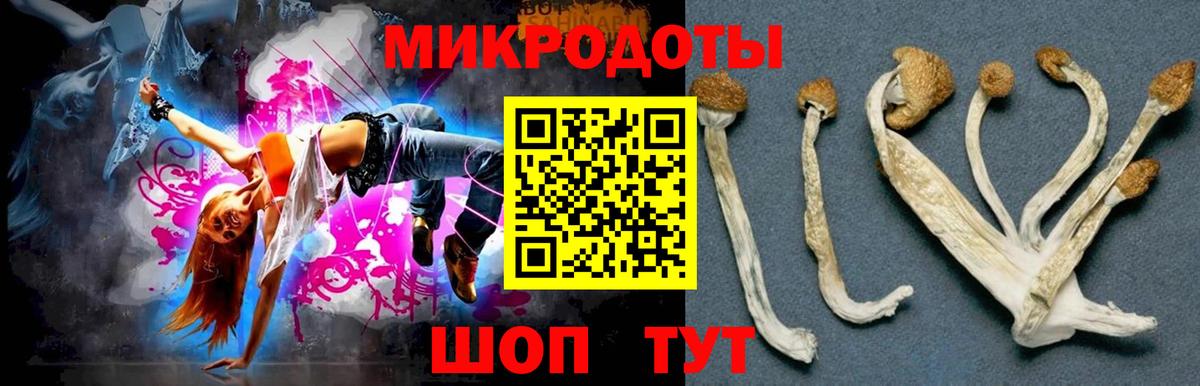 Галлюциногенные грибы Psilocybe  Вход с VPN  Новокубанск 